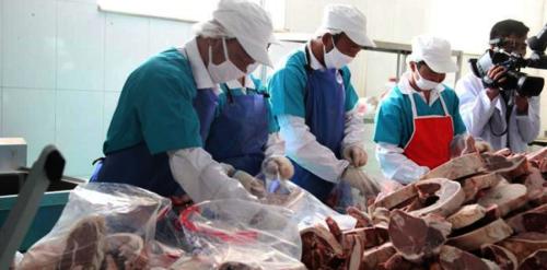 p19fjoou2oa5uh3uehnnd8b1a1