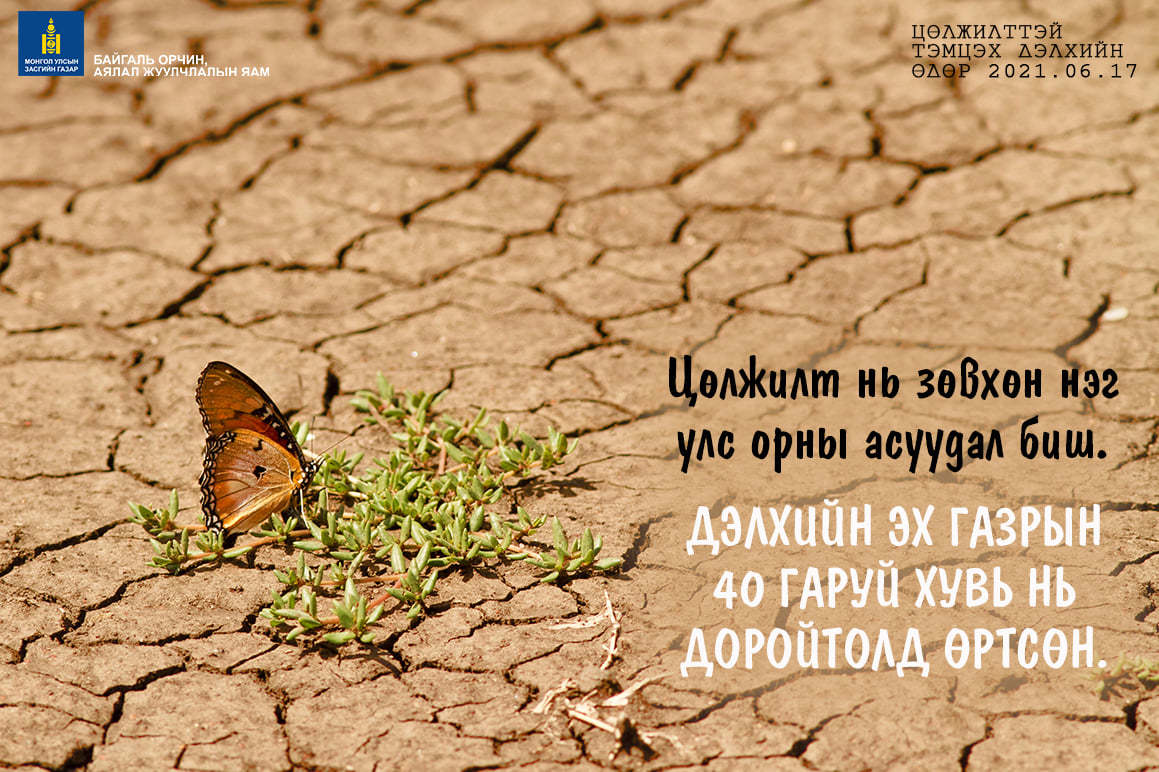 200 орчим га талбайд цөлжилттэй тэмцэх ажлыг хийж гүйцэтгэхээр төлөвлөжээ