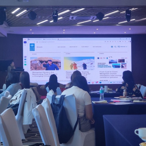 НҮБ-ийн тэтгэлэгт төслүүдийн дунд хугацааны уулзалт амжилттай боллоо