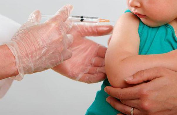 Б.Мөрөн: Ханиаднаас сэргийлэх найдвартай арга бол томуугийн эсрэг вакцин юм