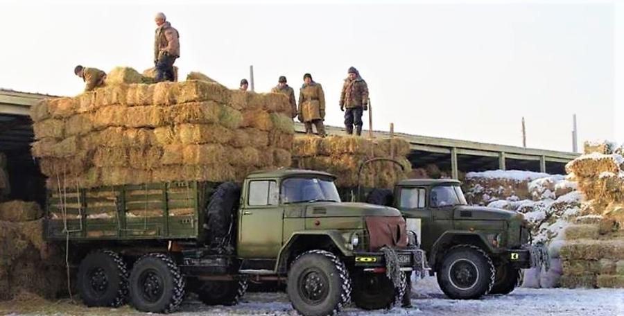 Өвс, тэжээлийн нэгдсэн зах байгуулахаар боллоо