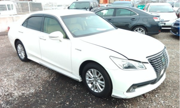 Crown Hybrid  ROYAL SALOON