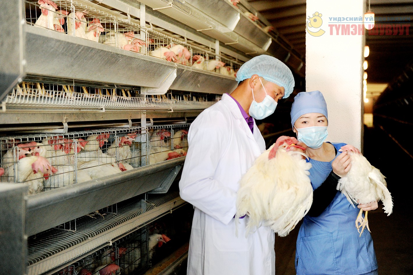 Tumen Shuvuut expands poultry business with IPO earnings