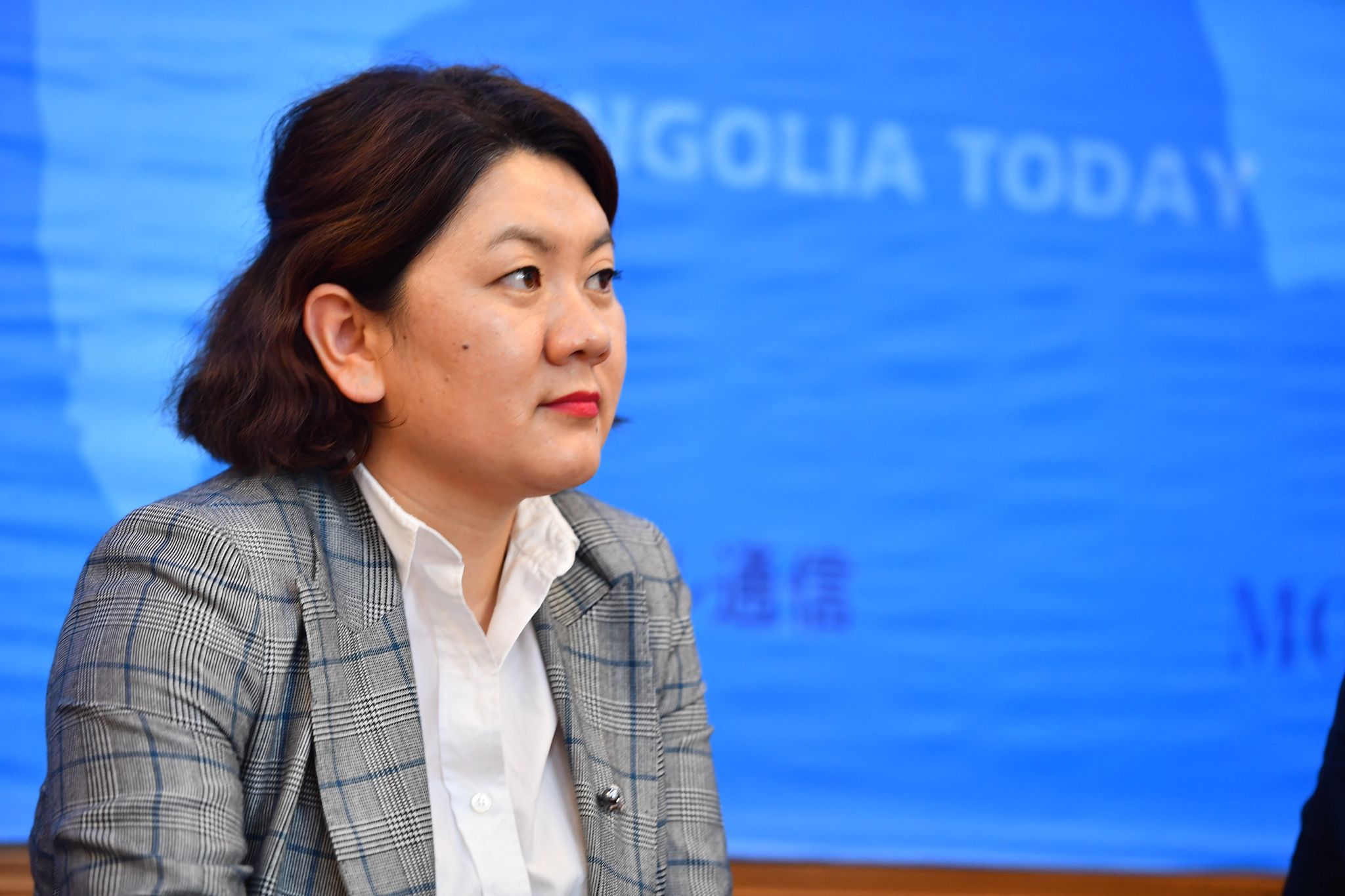 We must exercise prudence in Oyu Tolgoi negotiation, says B.Solongoo