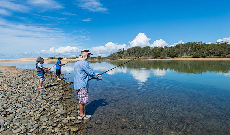 Native fish decreased