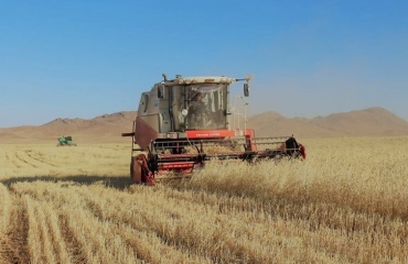 Labor force and weather condition to control harvest