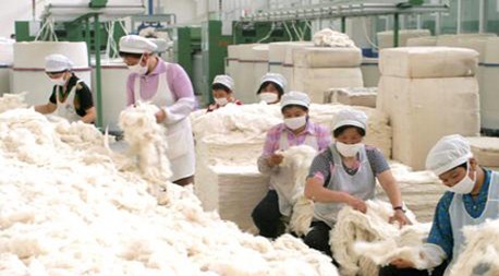 Agricultural Stock Exchange trades cashmere for over 36 billion MNT