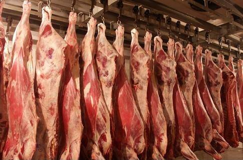 Mongolia exported 56 tons of meat to China in April, says ministry