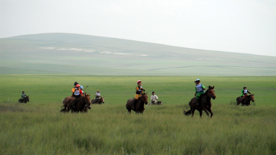 Naadam in Darkhan