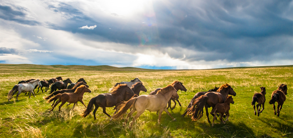 Mongolia chosen as one of 2017’s World’s 10 Best Ethical Destinations