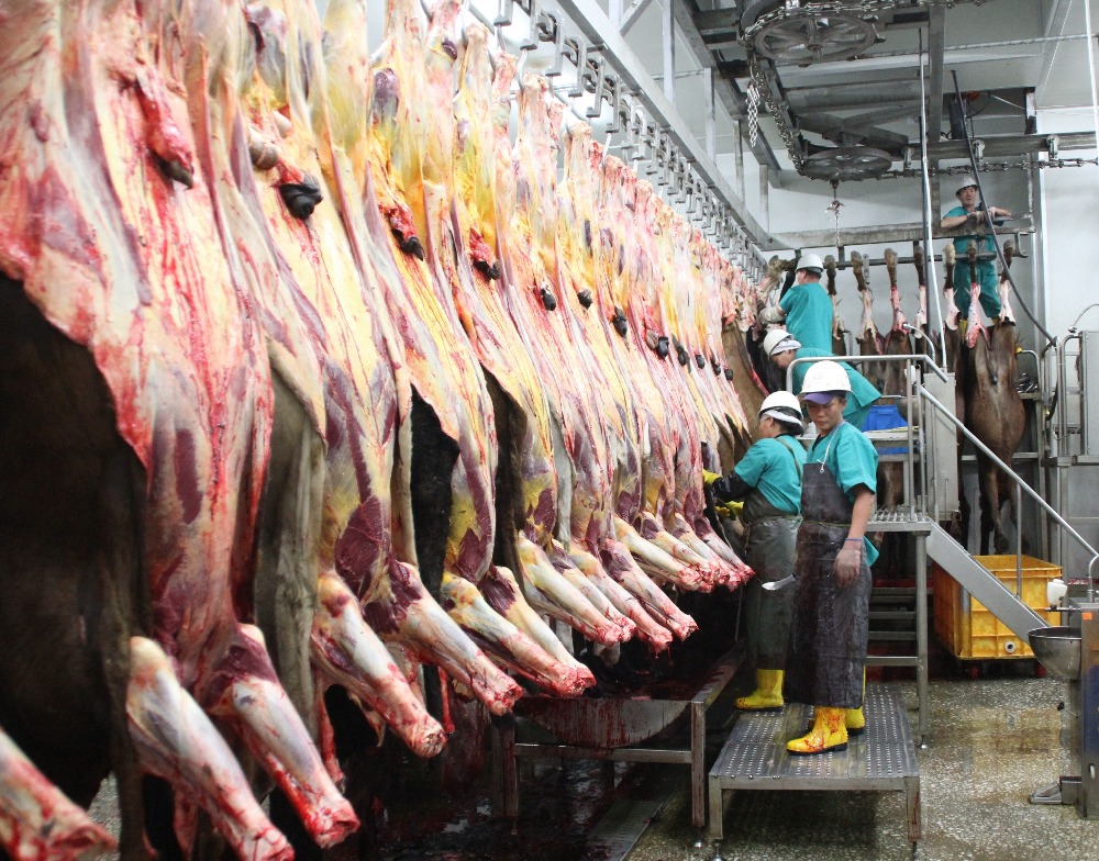 Ministry of Food and Agriculture strikes deal to sell 200 tons of goat meat to Vietnam