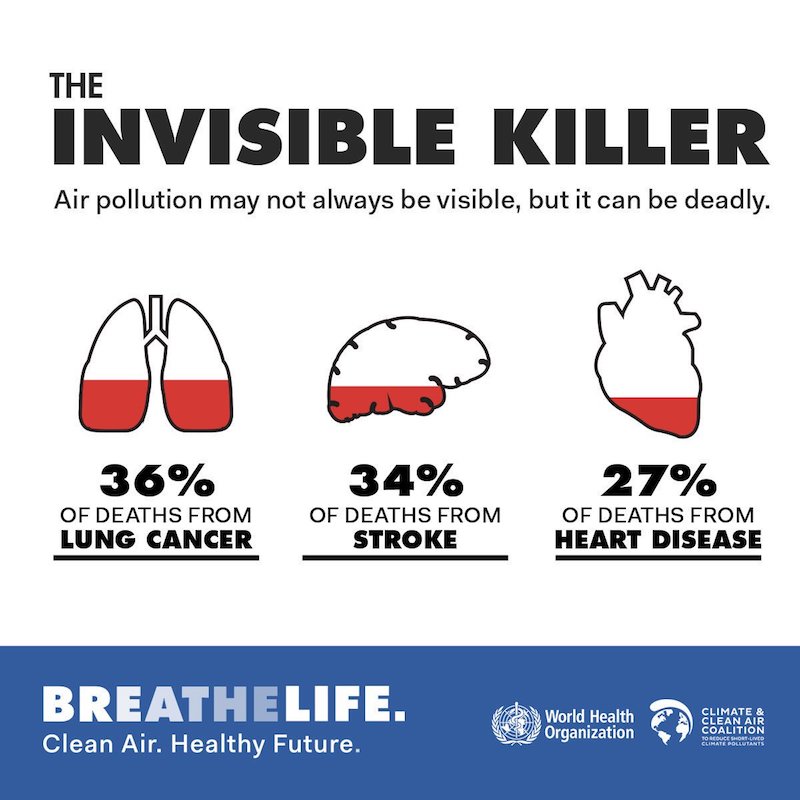 Mongolian joins UN’s BreatheLife campaign to combat air pollution