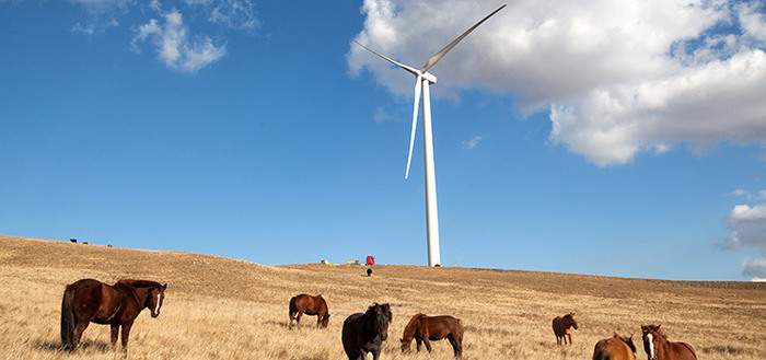 Tsetsii wind farm commences operations in Gobi Desert