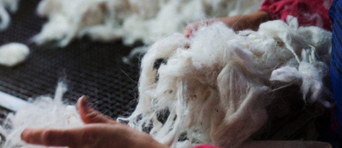 Mongolia walked one step back from advancing cashmere industry development