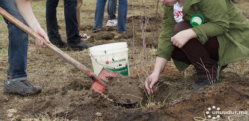 Districts to create ‘tiny forests’ for graduates