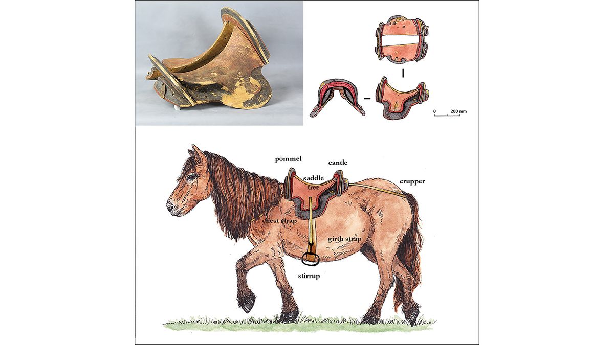 Research about ancient saddles found in Mongolia published in “Antiquity” journal