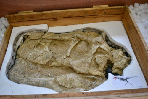 ubpress/image/2025/12/09/4wdywybzdq8xqz82/