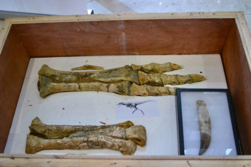 ubpress/image/2025/12/09/9ulgh6yggnnftfm9/