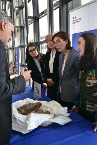 ubpress/image/2025/12/09/la71ttdo1yvk33gu/