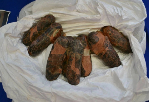 ubpress/image/2025/12/09/qzumj5k6m2bznv8o/