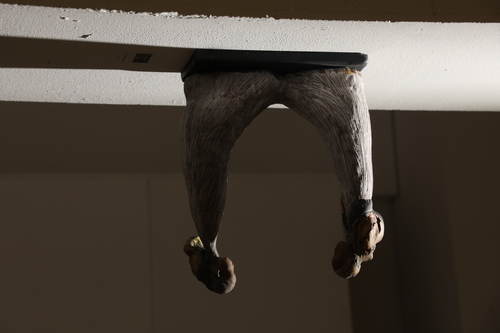 unuudur/image/2025/11/03/gftoc0f4jl1xk3mf/3M9A9855