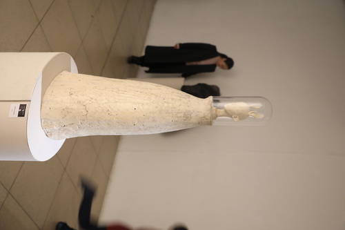 unuudur/image/2025/11/03/mrhterb4l0noybql/3M9A9876