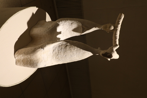 unuudur/image/2025/11/03/rjz0bd28cbim3xjf/3M9A9857