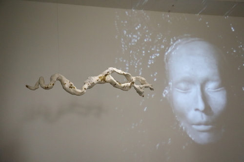 unuudur/image/2025/11/03/zcmopj92kjagcpv3/3M9A9878