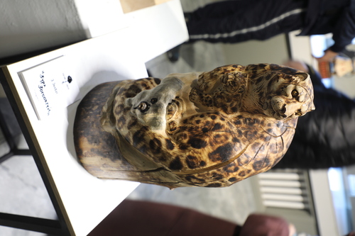 unuudur/image/2025/11/04/7x0tl5mmaav0tskx/3M9A9885