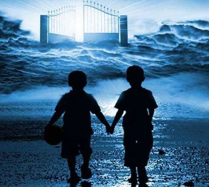 Сэрэмжлүүлэг: 172 хүүхэд зам тээврийн осолд өртөж, 29 нь амиа алджээ