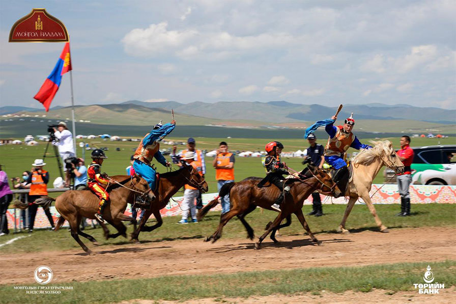 Эрлийз, монгол морио энэ жил ч ялгаж чадсангүй