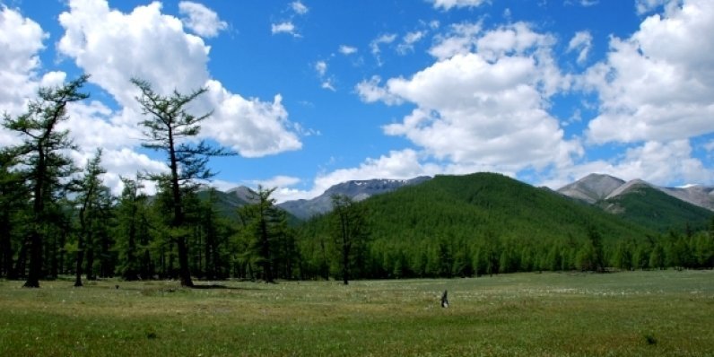 Аялалд явахдаа бусдадаа найдаж хүүхдүүдээ мартсан байжээ