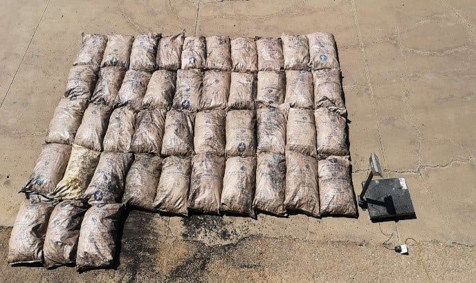ГЕГ: 680 кг дэрвэгэр жиргэрүүгийн үндэс хилээр гаргахыг завджээ