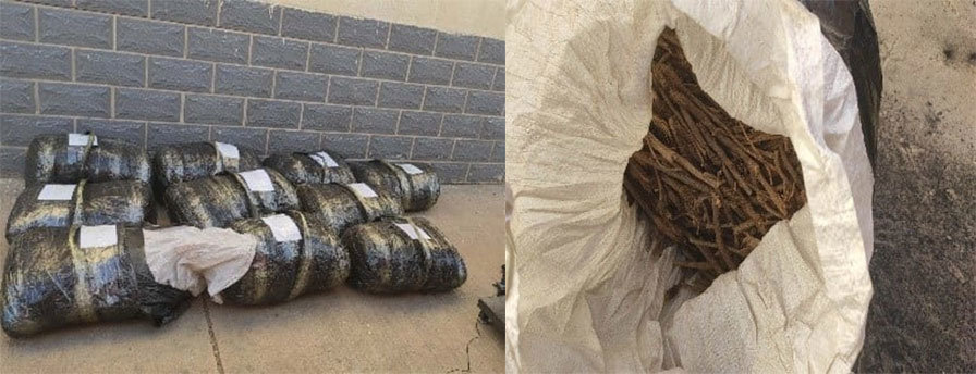 ГЕГ: 205 кг дэрвэгэр жиргэрүү улсын хилээр хууль бусаар гаргах гэж байжээ