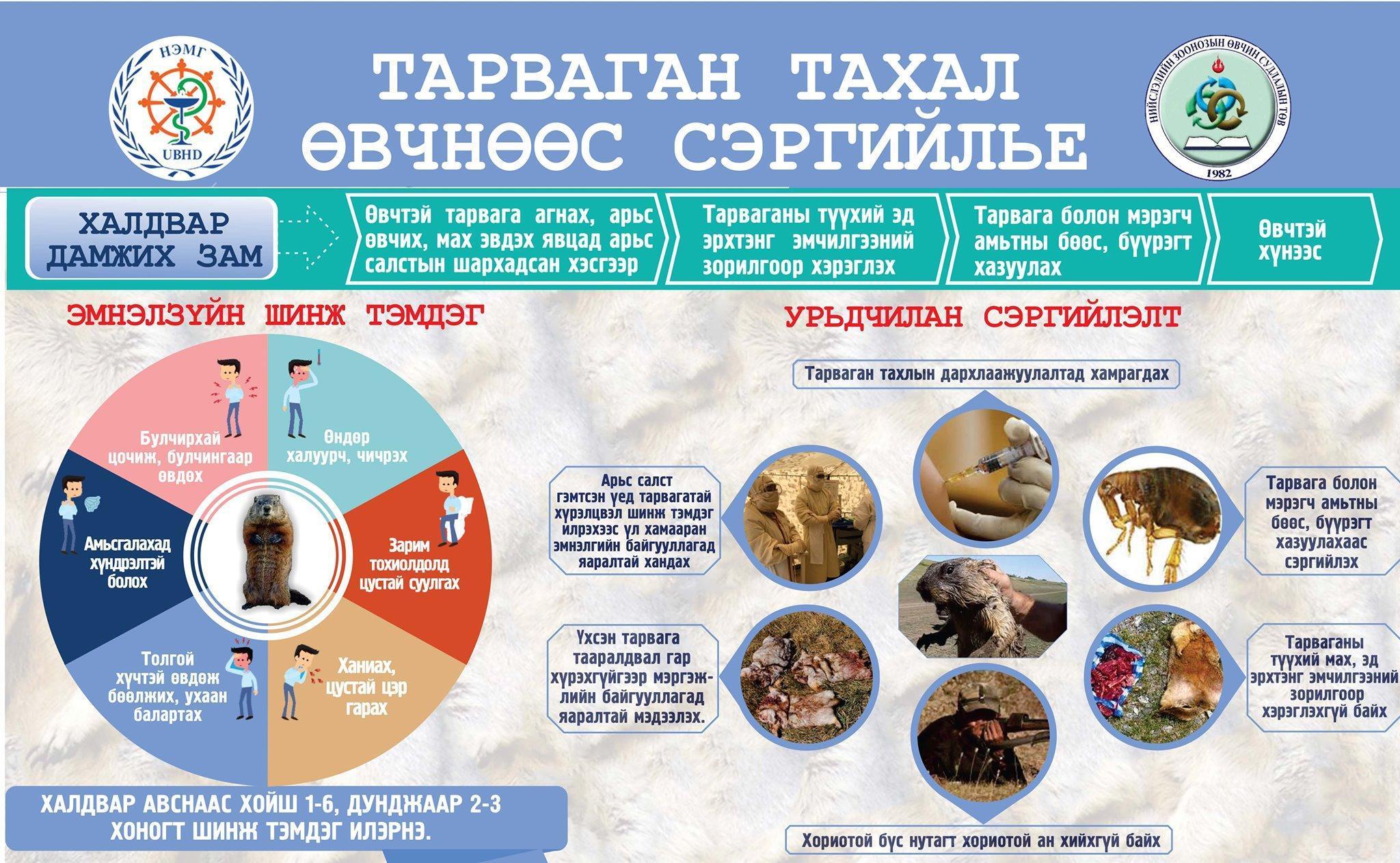 Хууль бусаар тарвага агнасан иргэнийг торгожээ