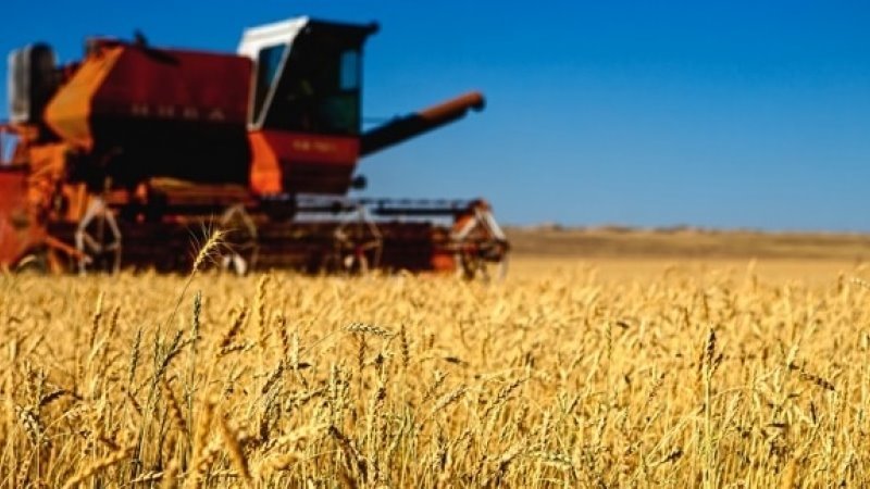 В.Үнэнбат: Ургац хураалтад оюутнуудыг ажиллуулна