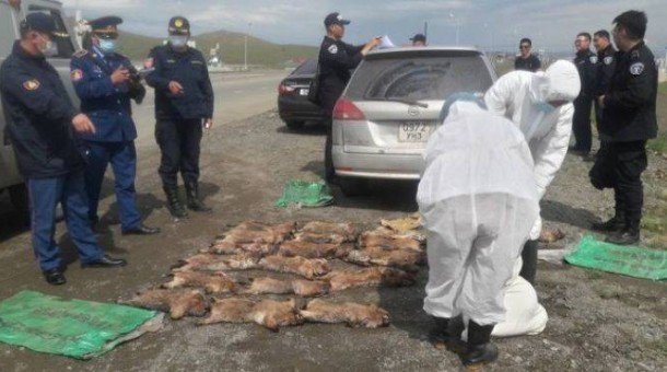 Тосонцэнгэлд сургууль, цэцэрлэг, МСҮТ-ийг хаалаа