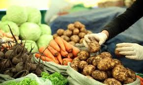 Танилц: Шинэ ногоо авч болох 45 байршил