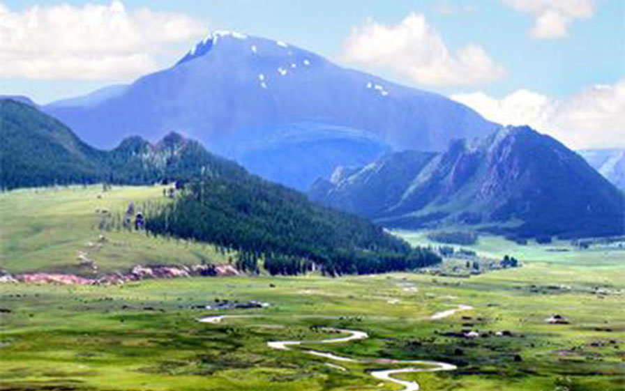 Тахилгат ууланд олгосон лицензүүд-2