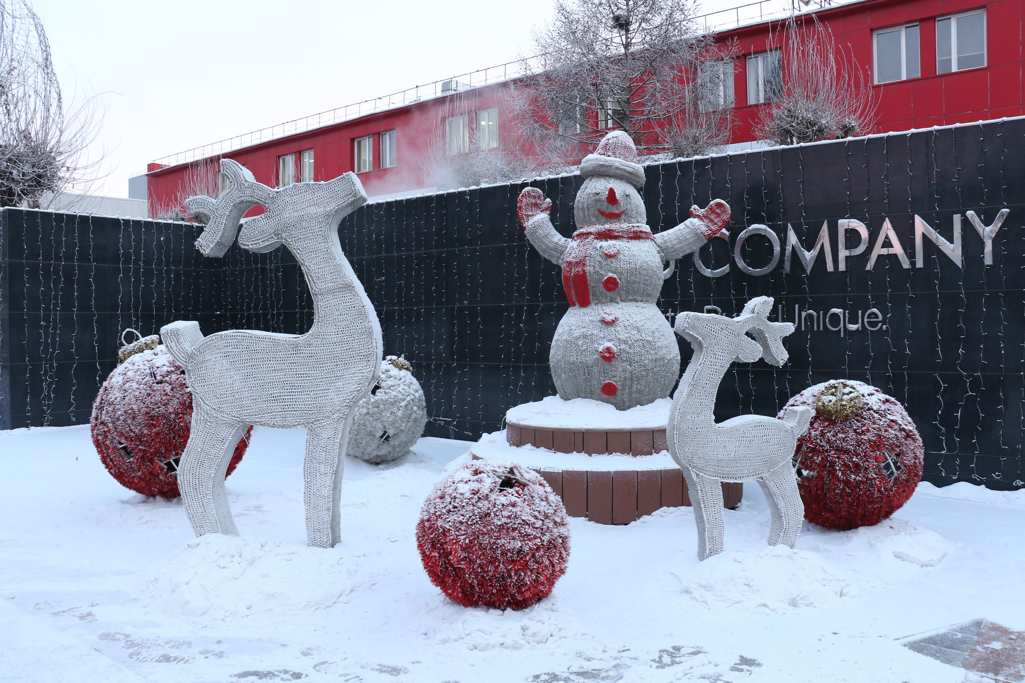 Онцлох фото 2021.01.04