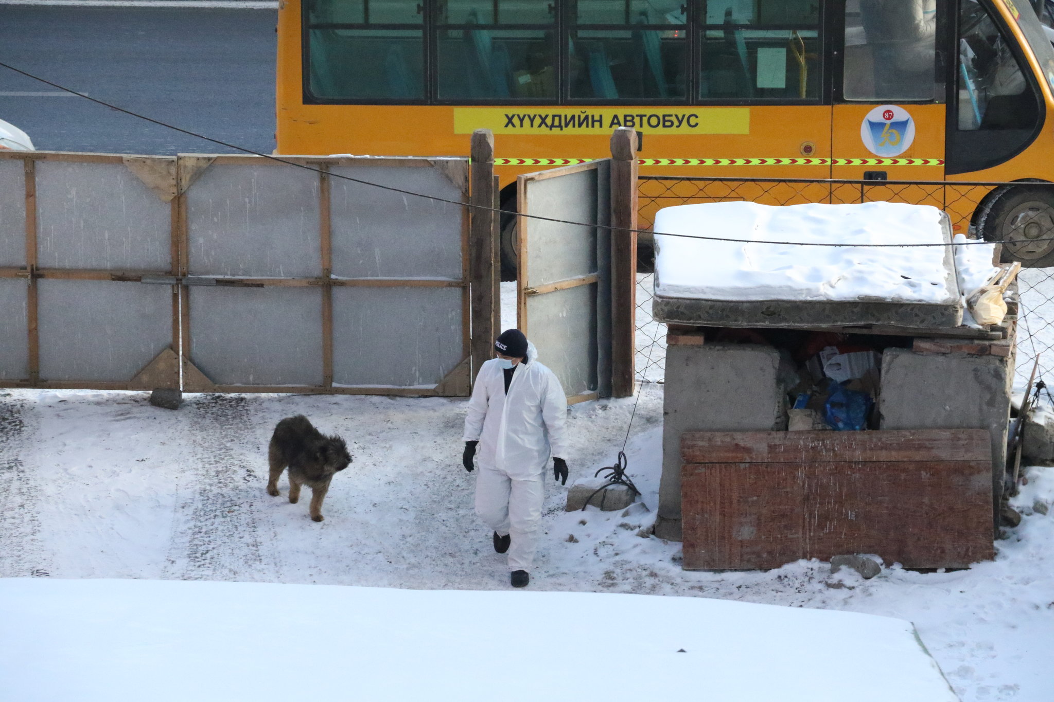 Онцлох фото 2021.01.31
