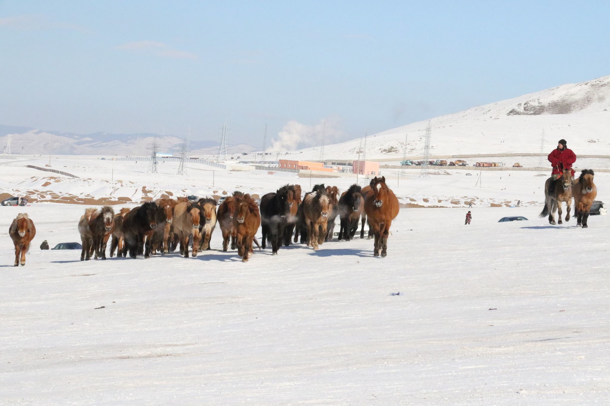 Онцлох фото 2021.01.09