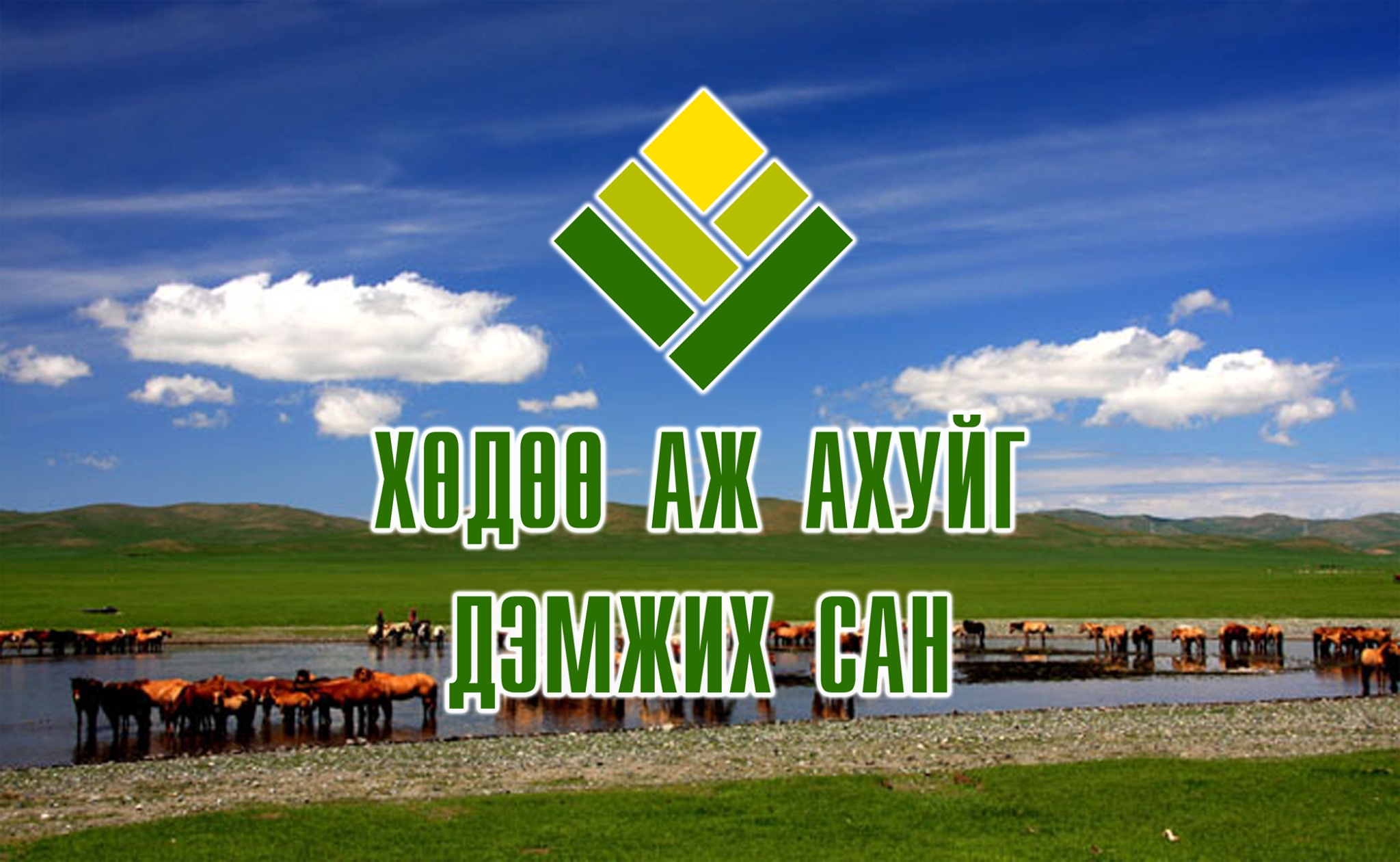 ХААДС-ийн хариуцлага алдсан удирдлагуудыг ажлаас нь чөлөөллөө