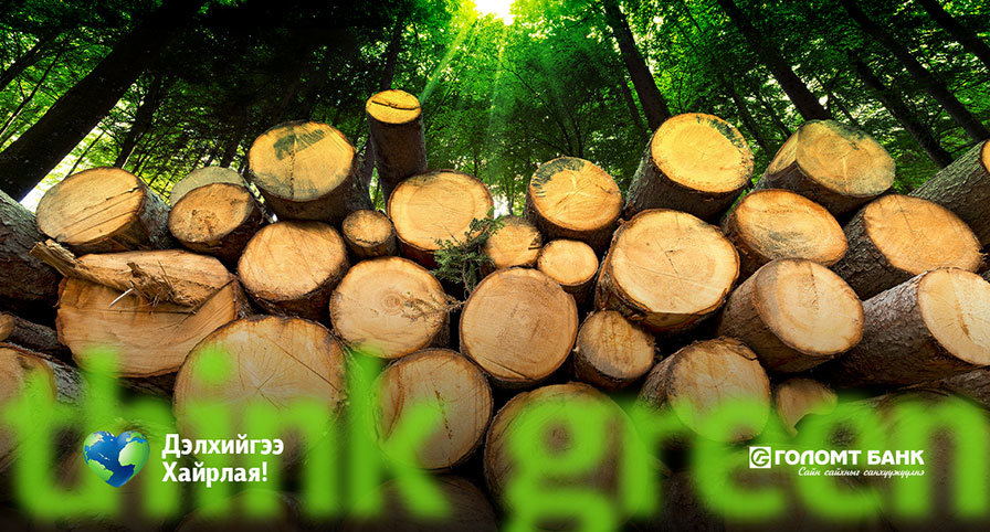 Дэлхий дээр нэг ч мод байхгүй бол юу болох вэ?