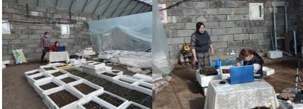 Агротехнологийн сургалтад 900 ногоочныг хамрууллаа