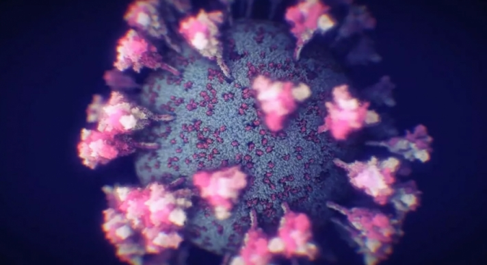 Америкийн эрдэмтэн “COVID-26”, “COVID-32” дэгдэх аюултай байгааг анхааруулав