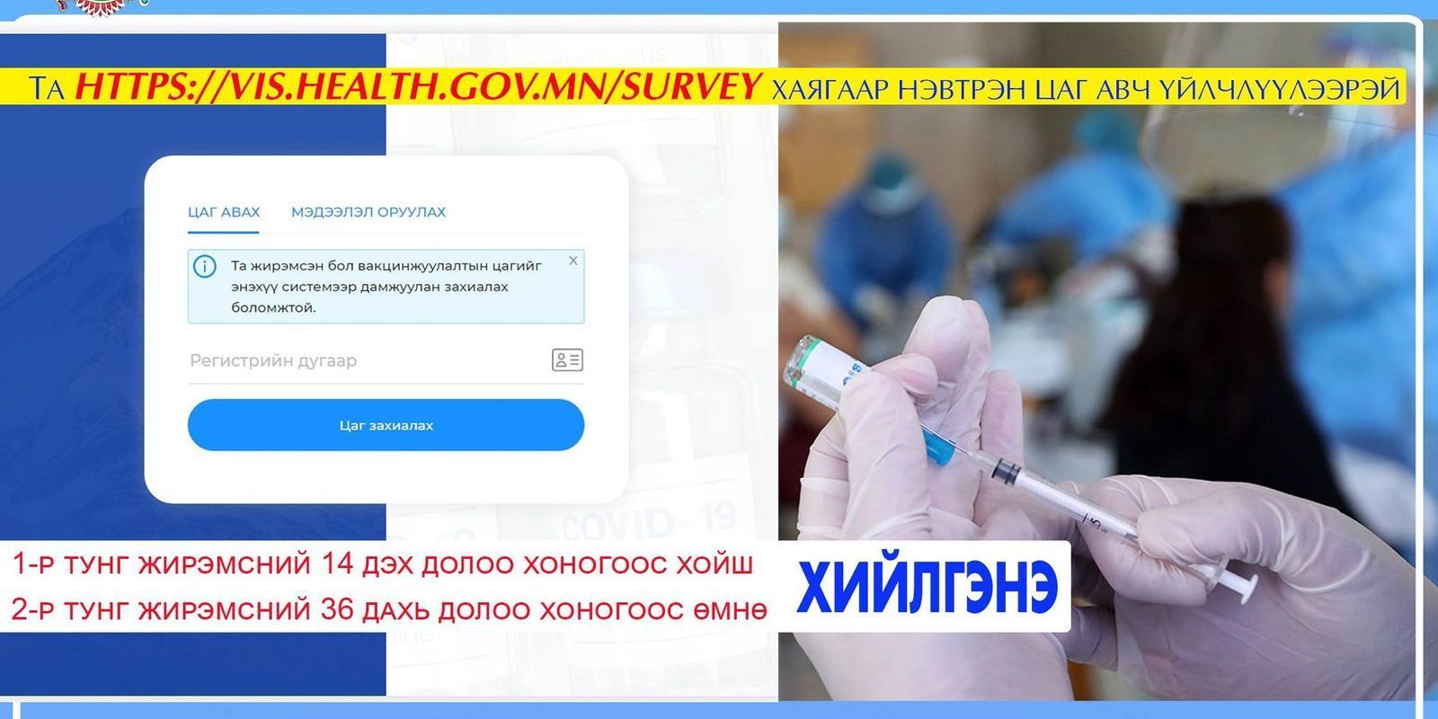 Вакцины эхний тунг жирэмсний 14 дэх долоо хоногоос хойших хугацаанд хийнэ
