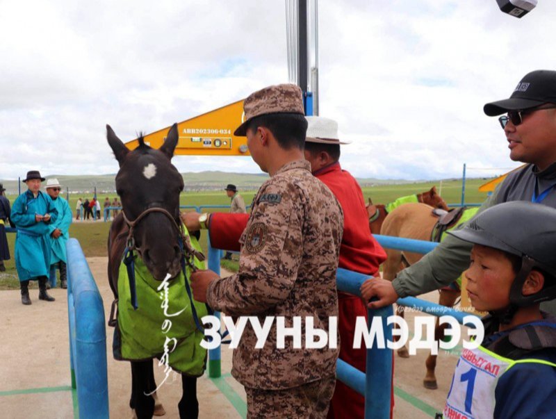 Дааганы шүдэлгээ болон сэрвээний өндөр хэмжилт явагдаж байна