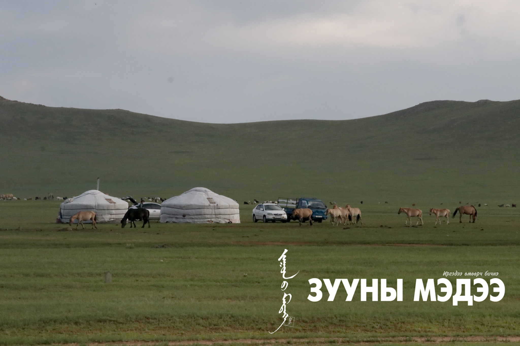 ФОТО: Төв аймгийн нутагт зуншлага сайхан болж байна