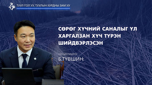 УИХ-ын гишүүн Б.Түвшин: Сөрөг хүчний саналыг үл харгалзан хүч түрэн шийдвэрлэсэн